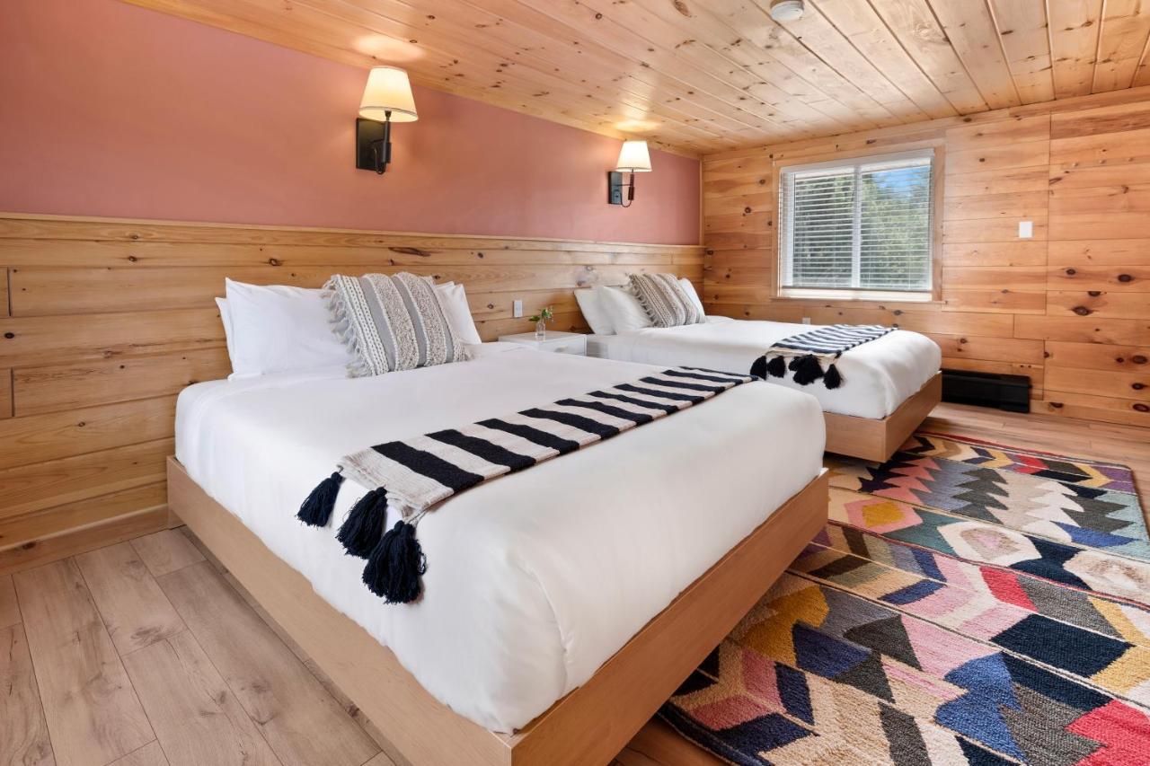 Wolfjaw Lodge Wilmington Eksteriør billede